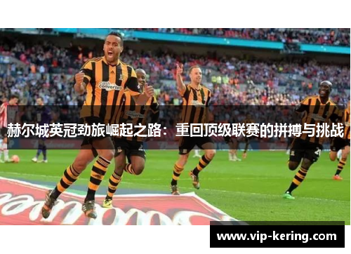 赫尔城英冠劲旅崛起之路：重回顶级联赛的拼搏与挑战
