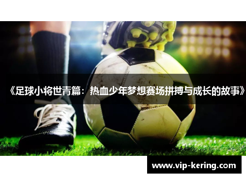 《足球小将世青篇：热血少年梦想赛场拼搏与成长的故事》