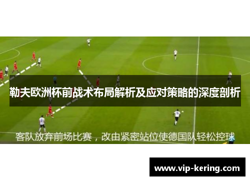 勒夫欧洲杯前战术布局解析及应对策略的深度剖析