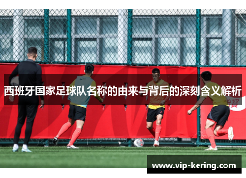 西班牙国家足球队名称的由来与背后的深刻含义解析